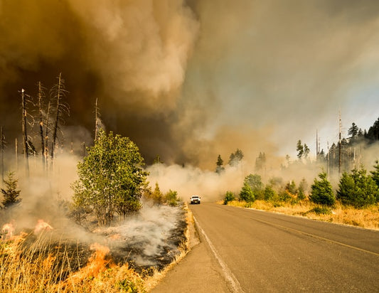 road-and-wildfire-in-the-forest