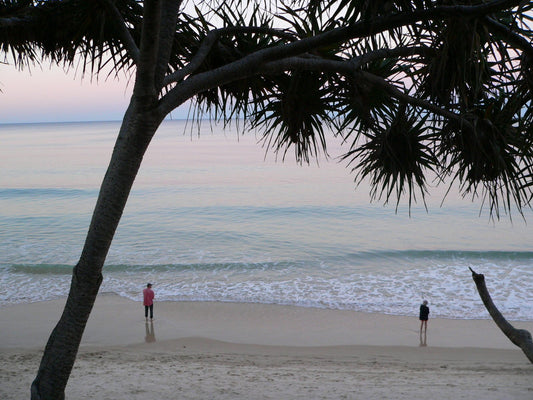 pink-sunset-beach-tree